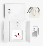 “Crystal Tears” Silver Earrings